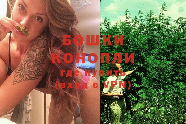 ПСИЛОЦИБИНОВЫЕ ГРИБЫ Волоколамск