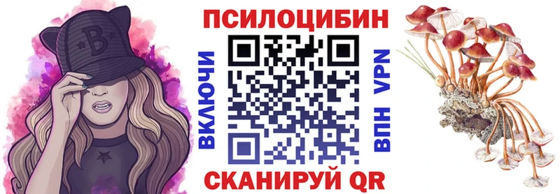 Псилоцибиновые грибы мицелий  Кашира 